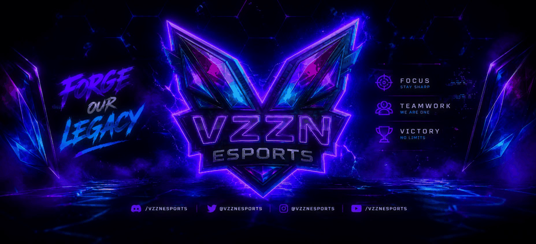 VZZN Esports